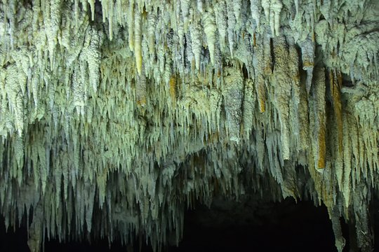 Tour image 5
