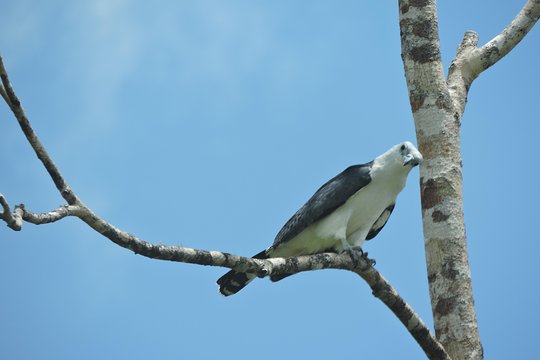 Tour image 12