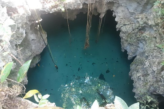 Tour image 7