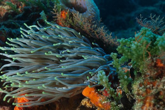 Tour image 9