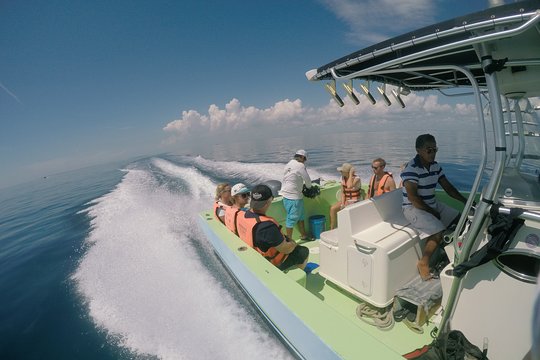 Tour image 6