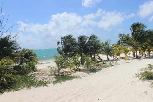 Tour image 9