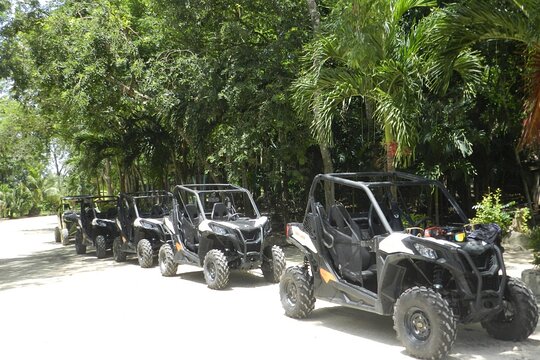 Tour image 6