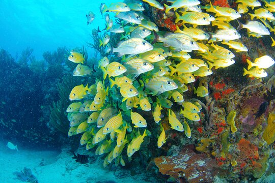 Tour image 5