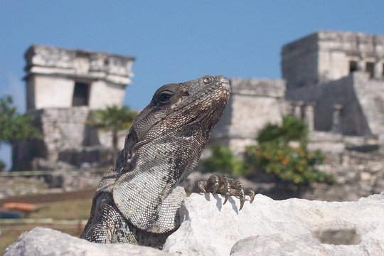 Tour image 8